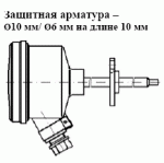 ТСМУ 029, ТСПУ 029 с фланцем с защитн. армат. диам. 10 мм с переходом на диам. 6 мм на длине 8 мм